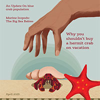 Hermit crab themed magazine