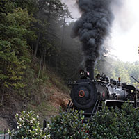 Dollywood's train leaving the station