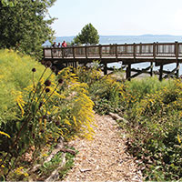 A short trail under the boardwalk. The Promenade in Havre De Grace,MD