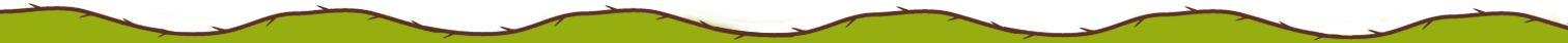 vine divider